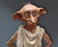 /album/fotogaleria/dobby-coverbilder-ger-jpg/