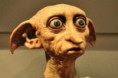 /album/fotogaleria/filename-dobby-jpg-thumbnail0-jpg/