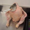 /album/fotogaleria/weird-looking-food-071-jpg/